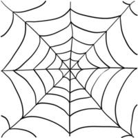 spider web illustration with handddrawn doodle style vector