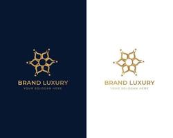 Abstract Elegant Ornament Logo Design vector