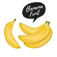 Ilustración de vector de fruta de plátano