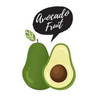 Avocado fruit vector illustration