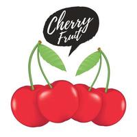 Cherry realistic fruit vector illustration