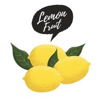 Lemon fruit vector illustration