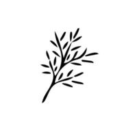 hoja en estilo dibujado a mano. estilo de garabato simple escandinavo. verano, otoño, naturaleza, planta. elemento de decoración, tarjeta de icono vector