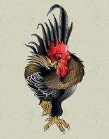 rooster tattoo neo traditional