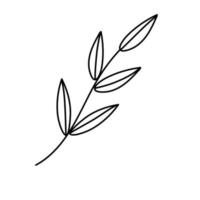 Contour black-and-white drawing of a twig with leaves. Vector illustration. Coloring page.