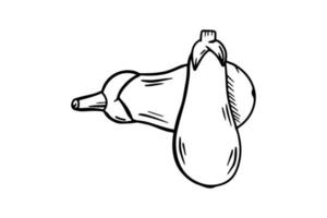 Eggplants are drawn with a black outline. Vector graphics, sketch