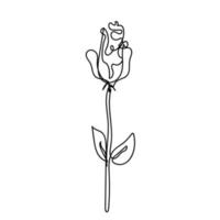 Rose continuous line, flowers garden, outline sketch style vector abstract art.