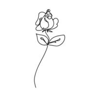 Rose continuous line, flowers garden, outline sketch style vector abstract art.