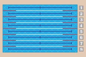 Sport swimming pool top view, eight-track swimming pool vector