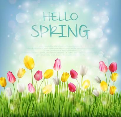 Vector illustration of Hello spring with tulip flower on blurred background
