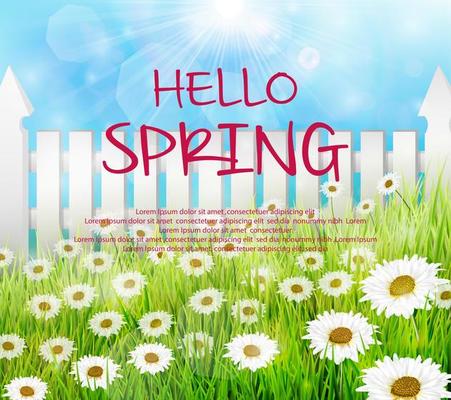 Vector illustration of Spring background with wooden fence and daisies flowers in the grass