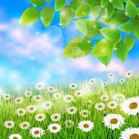 Vector illustration of Spring field meadow background with fresh leaves
