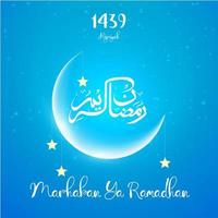 Ramadan Kareem Greetings Card vector