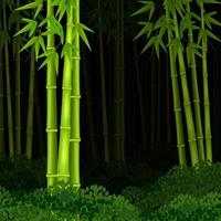 Vector illustration of Background bamboo forest at night