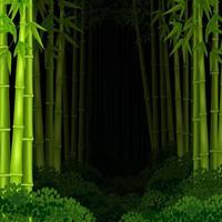ilustración vectorial del bosque de bambú de fondo en la noche vector