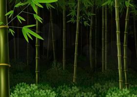 bosque de bambú de fondo en la noche vector