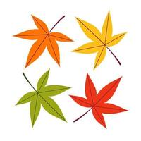 A set of autumn maple leaves of different colors on a white isolated background. Vector flat illustration.