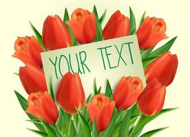 Red tulip flowers with paper card vector