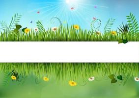 Vector illustration of Fresh spring and daisy borders