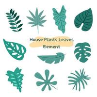 House plants leaves collection vector