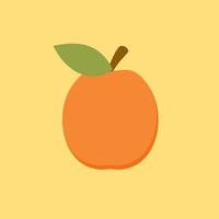 apricot flat design vector illustration