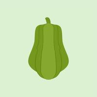 chayote flat design vector illustration.Chayote plant icon. Flat illustration of chayote plant vector icon for web design