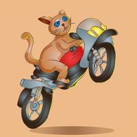 Cat Rider Cartoon vector