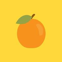 apricot flat design vector illustration