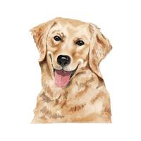 pintura de acuarela de perro golden retriever. adorable cachorro animal aislado sobre fondo blanco. Ilustración de vector de retrato de perro lindo realista