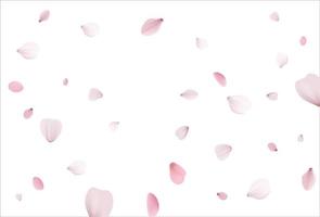 Sakura background, cherry vector background