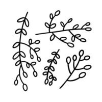 doodle twigs with buds. hand drawn vector illustration.