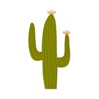 cactus en estilo plano dibujado a mano. salvaje oeste, desierto, plantas. ilustración vectorial aislado sobre fondo blanco vector