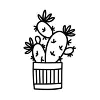Doodle home plants in cute pots in flat style. home flowers, greenery. hand drawn vector illustration isolated on white background.