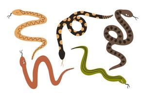 set with snakes with different colors in flat style. vector illustration isolated on white background