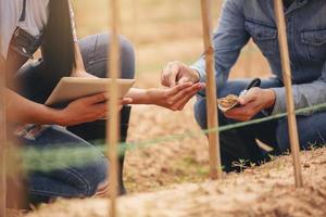 El agricultor propietario y el agrónomo fueron consultados con académicos sobre cómo mejorar la calidad del suelo antes de plantar. foto