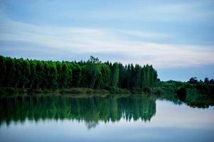 Pictures of trees and rivers, streams and beautiful nature in the evening of every day Nature concept photo