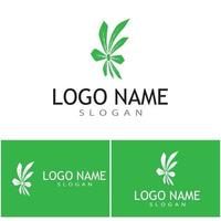 canabis logo plantilla vector símbolo naturaleza