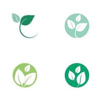 Set of Mint leaves flat vector color icon