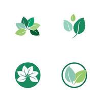 Set of Mint leaves flat vector color icon