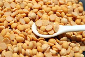 Grains seed, soybean peeled in white spoon photo