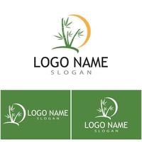 Bamboo Logo Template vector icon illustration design