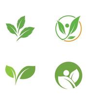 Leaf icon Vector Illustration design Logo template