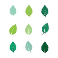 icono de color de vector plano de hojas de menta