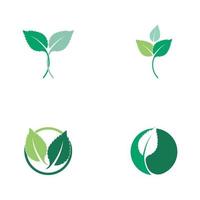 Set of Mint leaves flat vector color icon