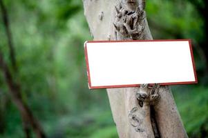 letrero blanco adjunto a un árbol con espacio foto