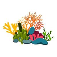 image of corals and algae vector
