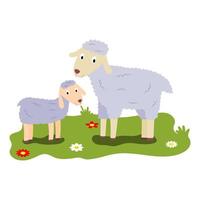 linda ilustración de dibujos animados de mamá e hijos, ovejas de animales de granja y terneros. vector