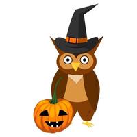 cartoon owl in a hat, pumpkin, halloween. vector