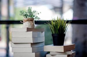 Book placed on the desk A lot of books, beautiful colors for studying, knowledge,education - images photo