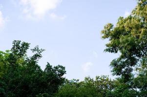 The sky and the bright clouds in the morning of every day photo